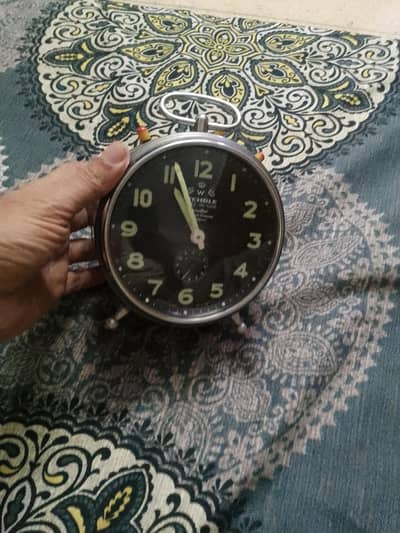 Rado wate eele