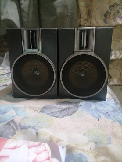 speaker pair