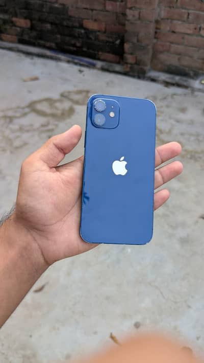 Apple iPhone 12