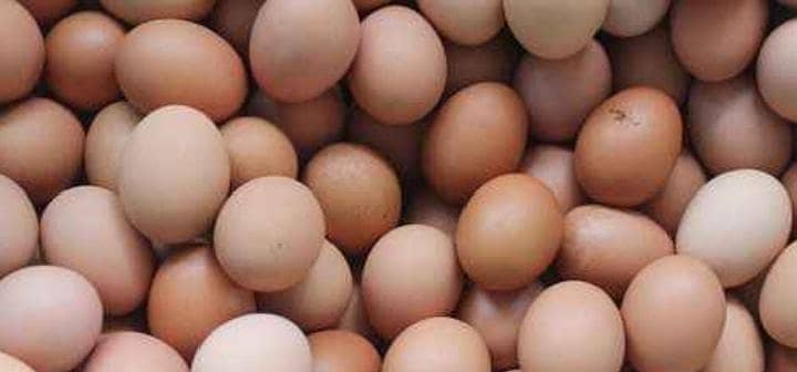 desi eggs 0
