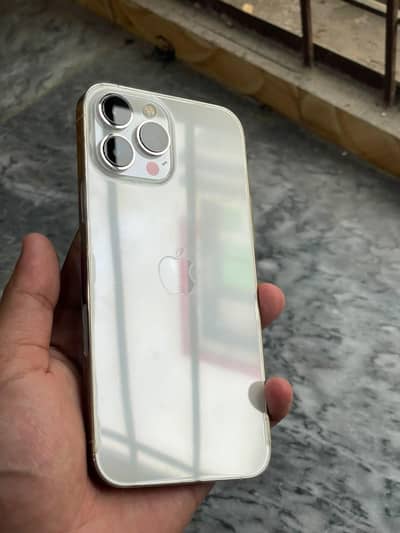 Apple iPhone 13 Pro Max