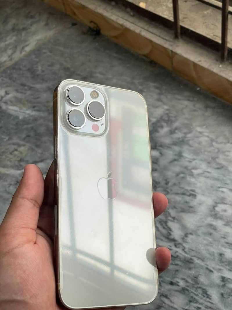 Apple iPhone 13 Pro Max 1