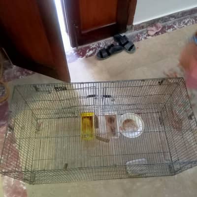 Cage for sale