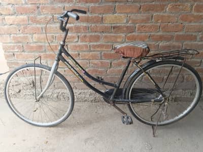bahut achcha cycle hai agar Kisi ko bhi chahie To Ham shera beta kar