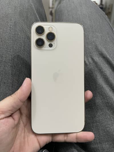 Apple iPhone 12 Pro Max
