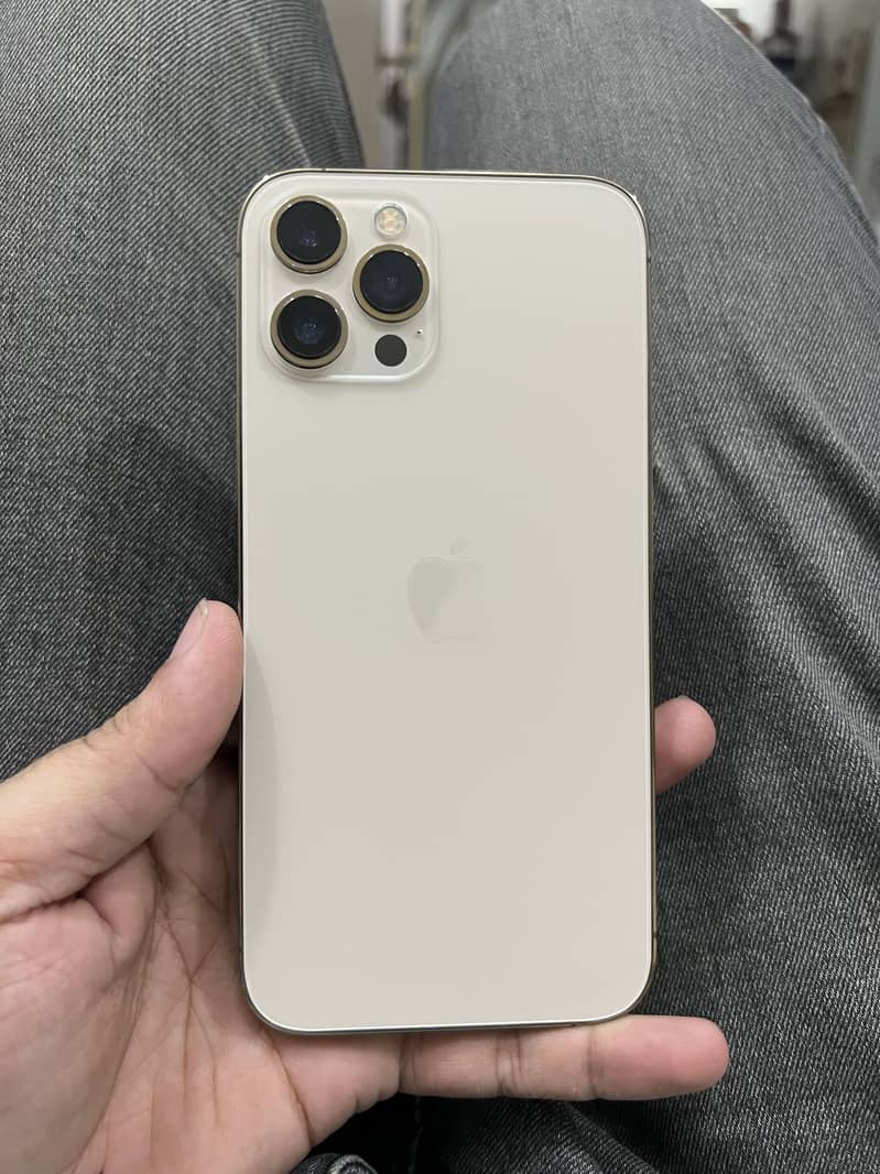 Apple iPhone 12 Pro Max 0