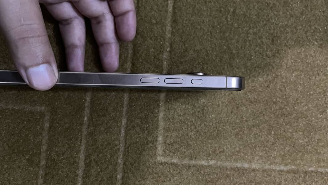 Apple iPhone 16 Pro Max 1