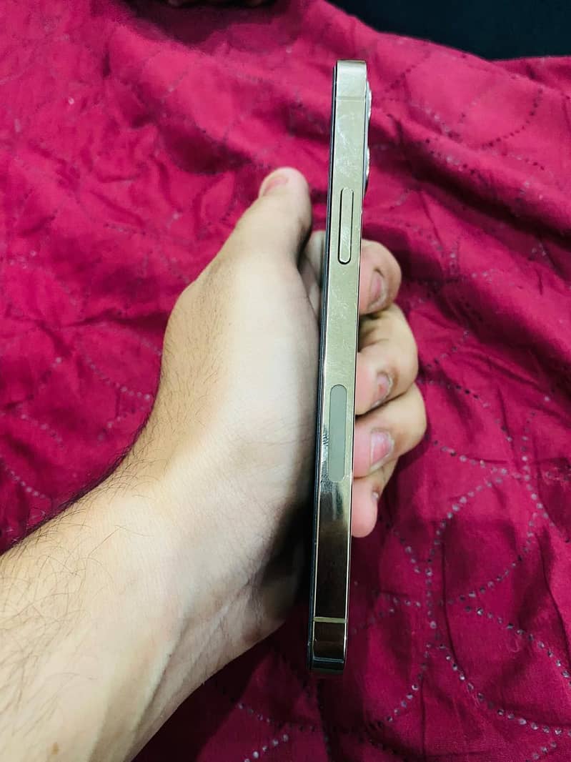 Apple iPhone 12 Pro 3