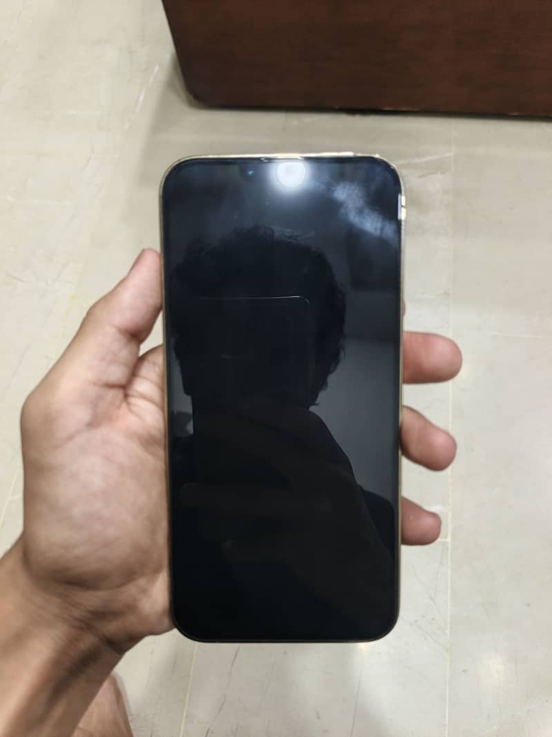 Apple iPhone 13 Pro Max 1