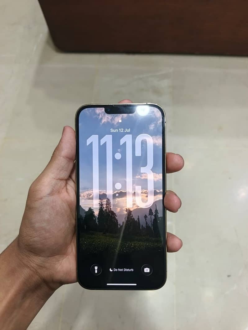 Apple iPhone 13 Pro Max 2