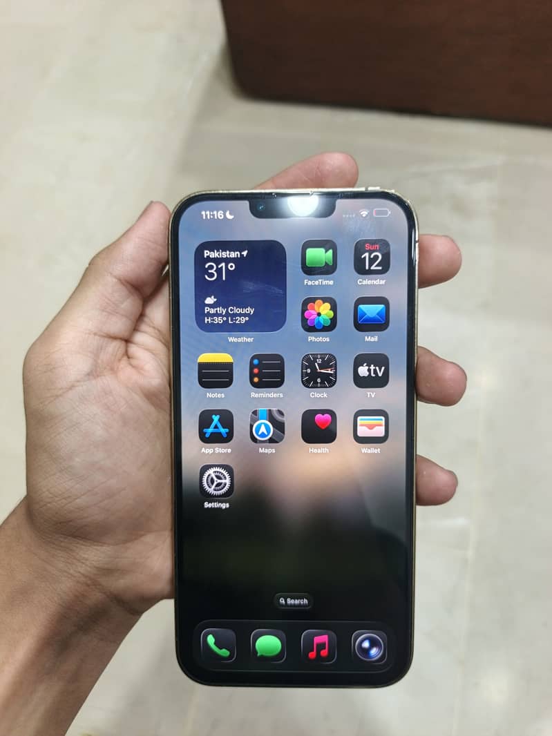 Apple iPhone 13 Pro Max 3