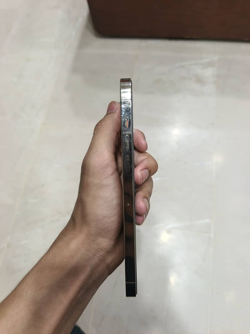 Apple iPhone 13 Pro Max 4
