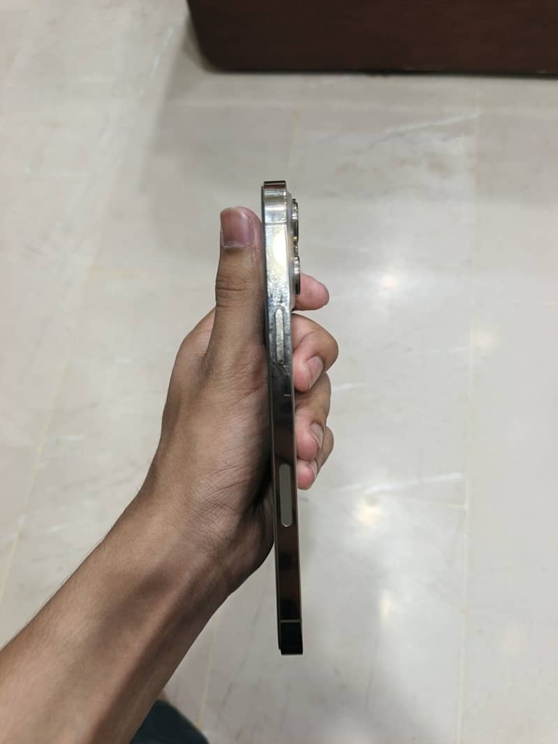 Apple iPhone 13 Pro Max 5