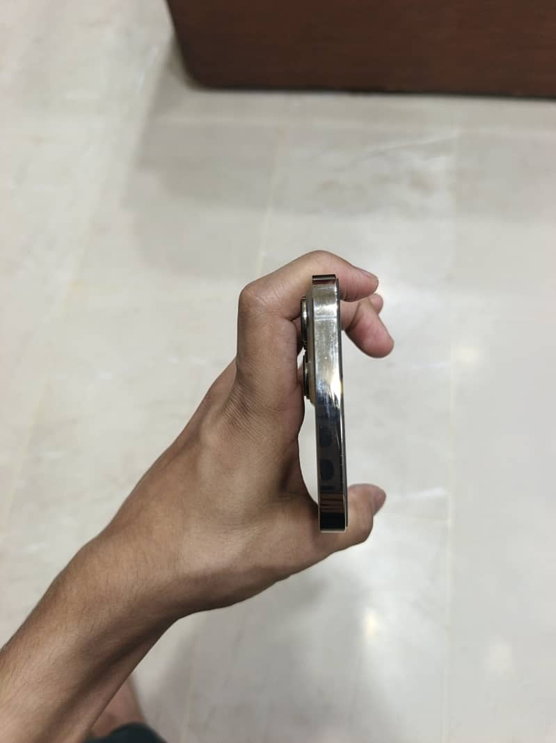Apple iPhone 13 Pro Max 6