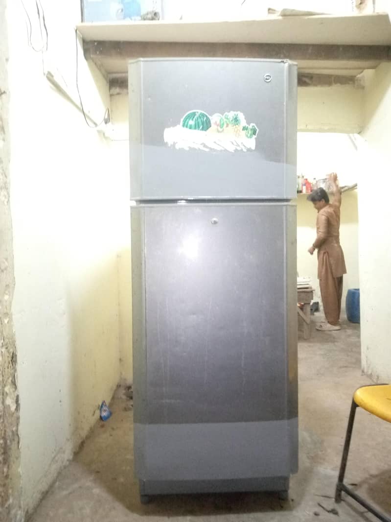 pel Fridge 1