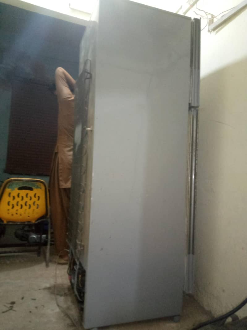 pel Fridge 2