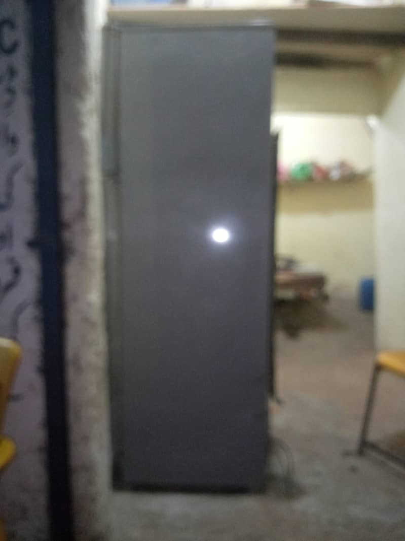 pel Fridge 3