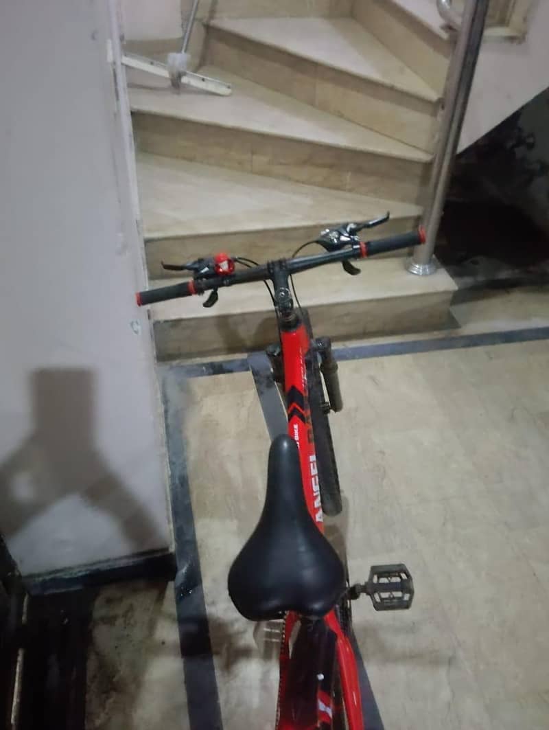 bicycle 4