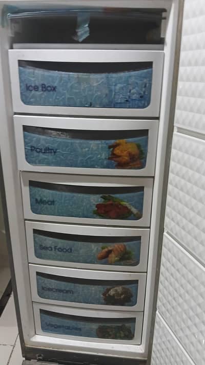 Used vertical freezer