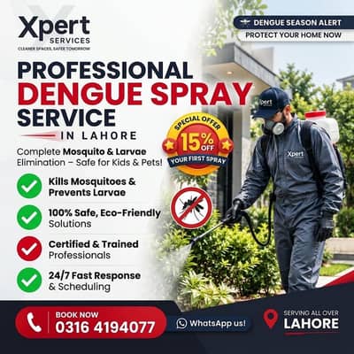 Professional Dengue Spray Service