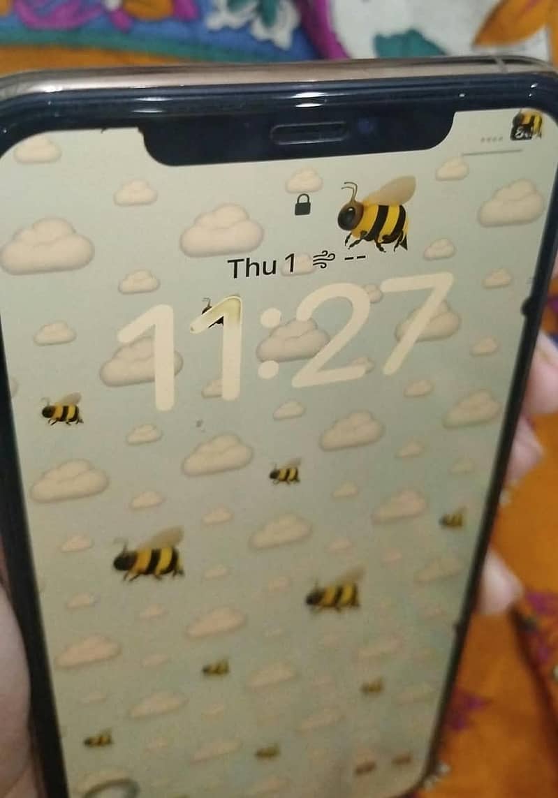 Apple iPhone 11 Pro Max 1