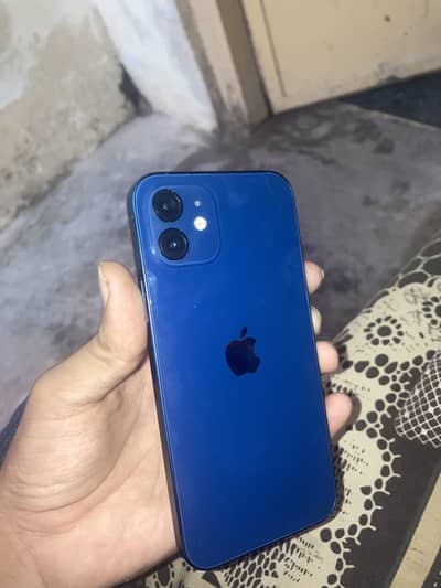 Apple iPhone 12