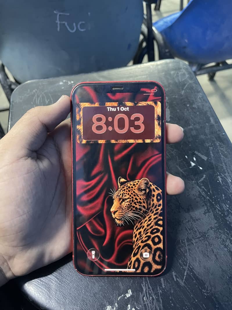 Apple iPhone 12 5