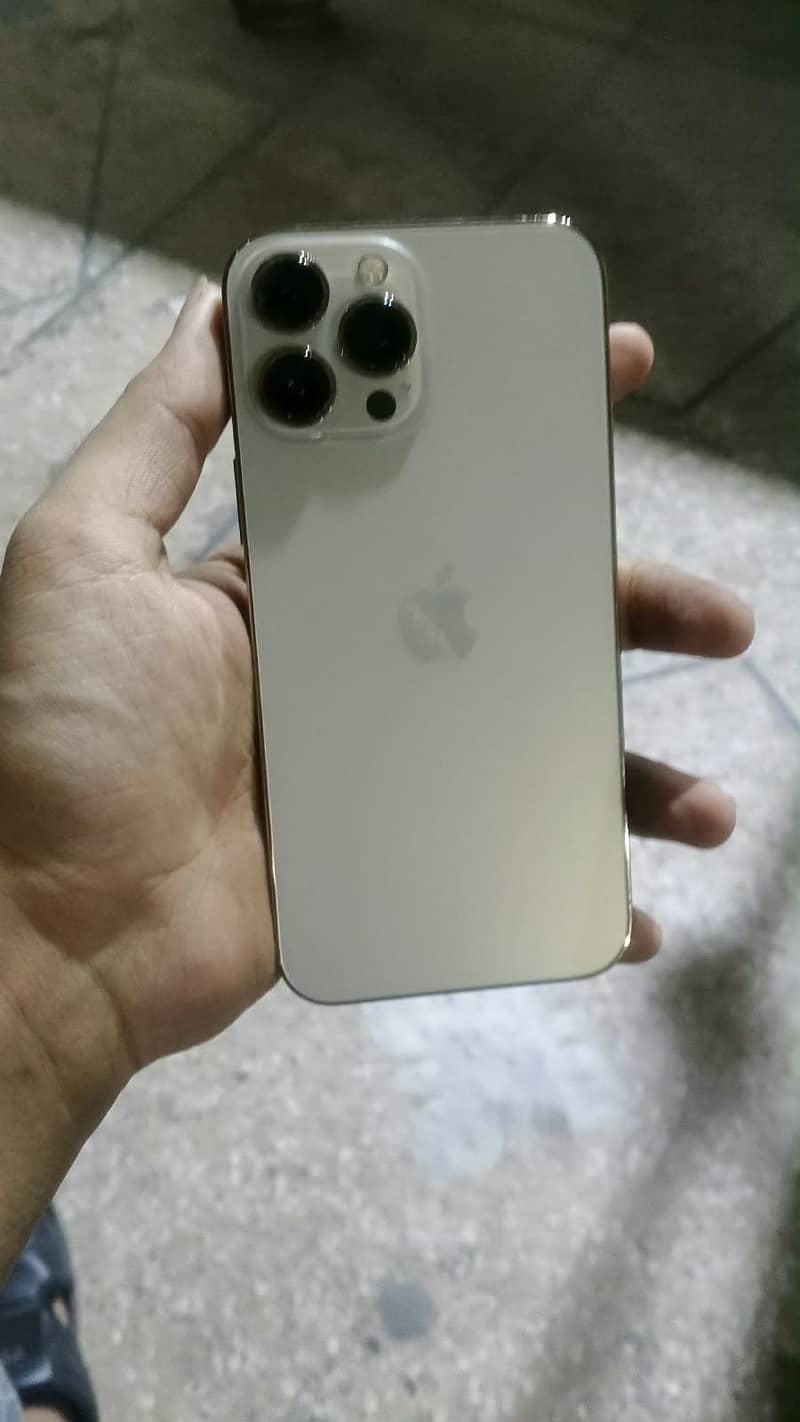 Apple iPhone 13 Pro Max 1