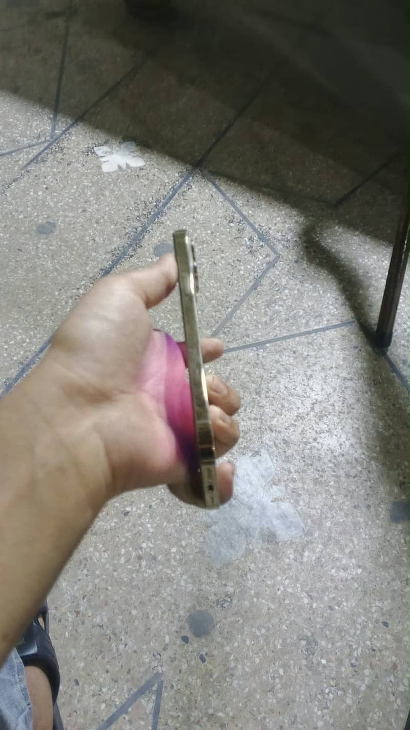 Apple iPhone 13 Pro Max 2