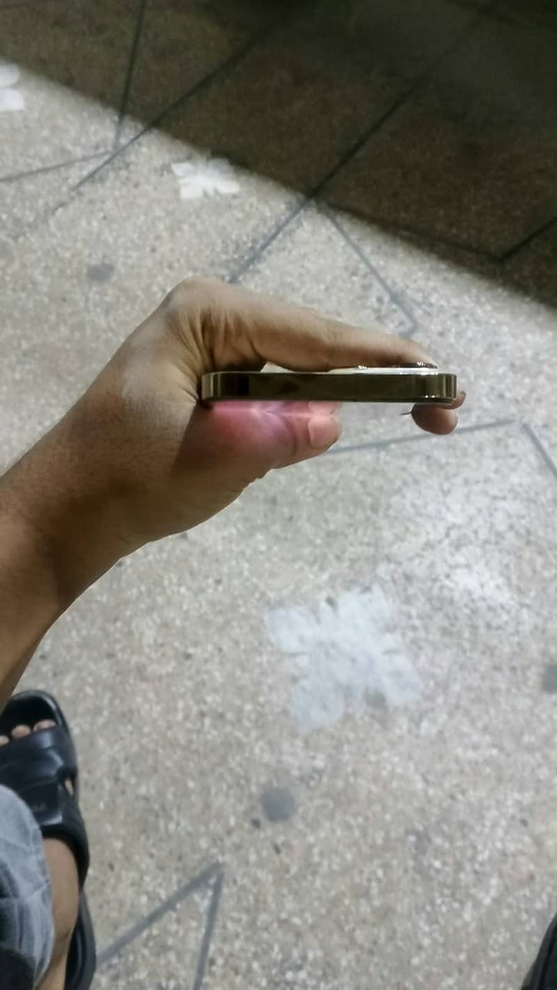 Apple iPhone 13 Pro Max 4