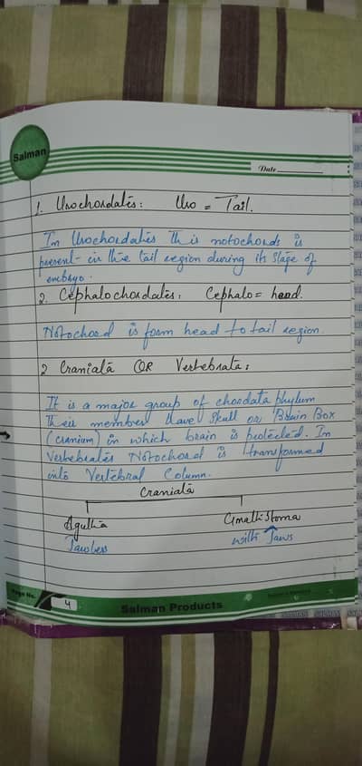 Assignment Writing and Assignment Typing (School to university level)