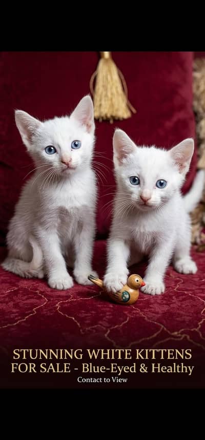 blue eyes