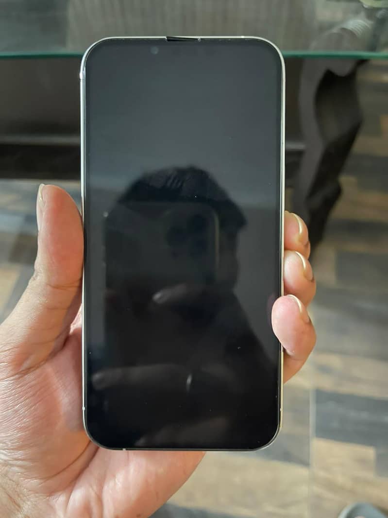 Apple iPhone 13 Pro 1
