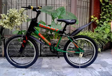 kids bicycle