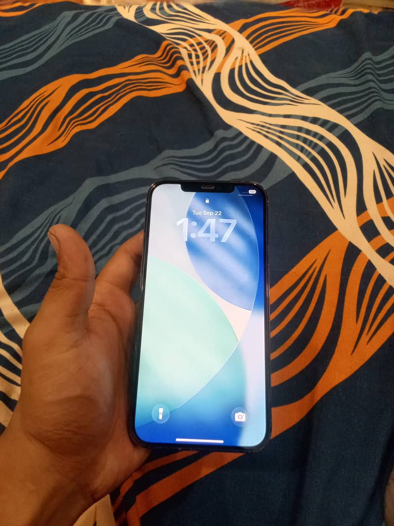 Apple iPhone 12 Pro Max 1