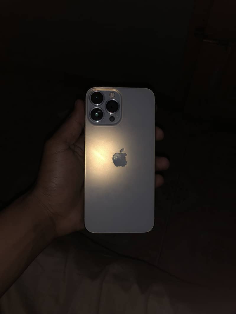 Apple iPhone 13 Pro Max 1