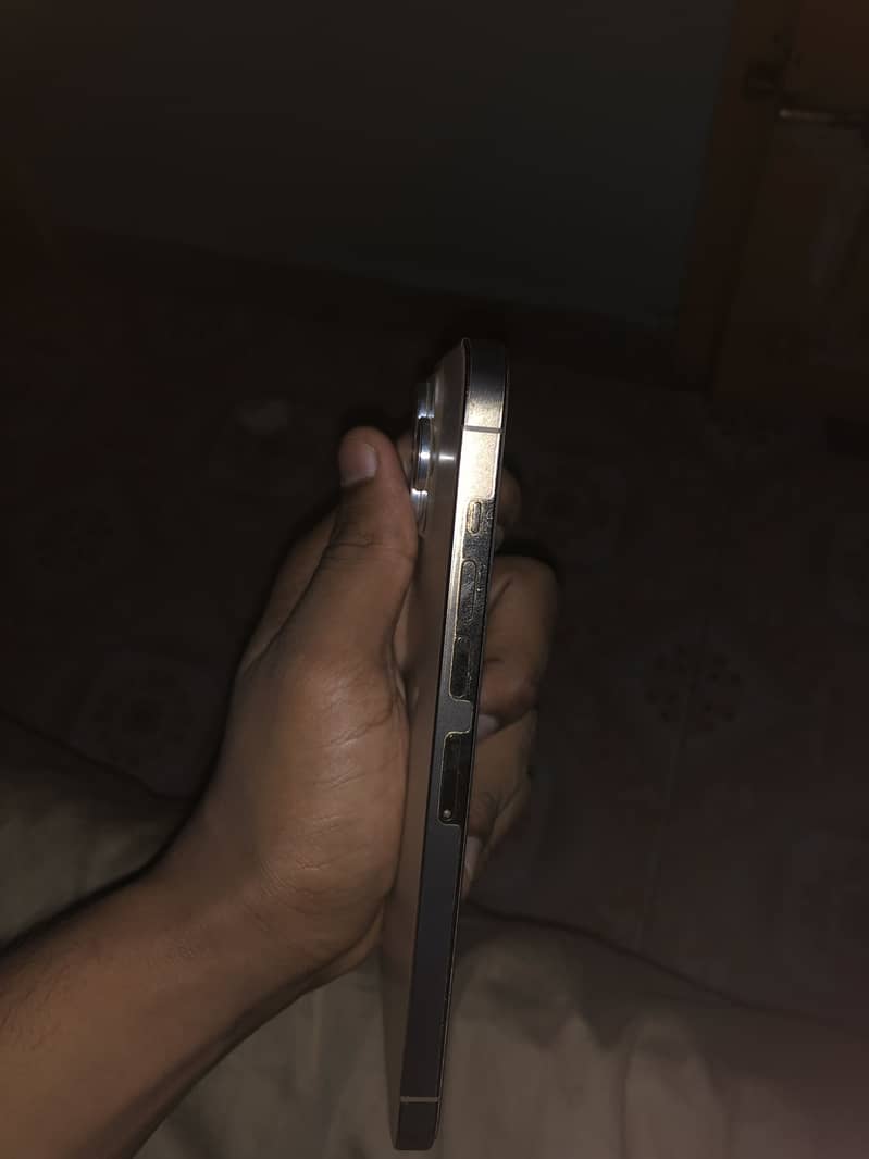 Apple iPhone 13 Pro Max 6
