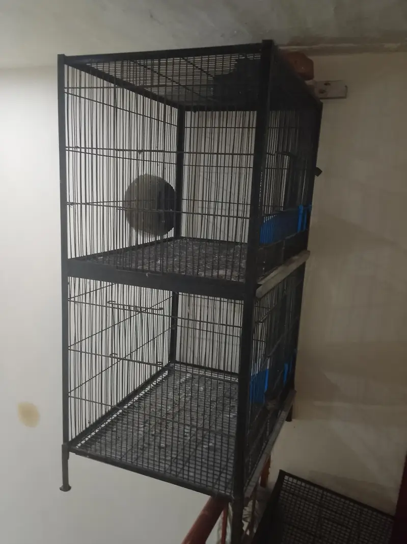 Cage for sale 2 Cage double 8000 and single 5500 — photo 2