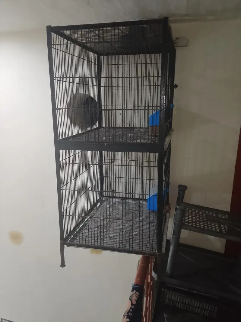 Cage for sale 2 Cage double 8000 and single 5500 — photo 3