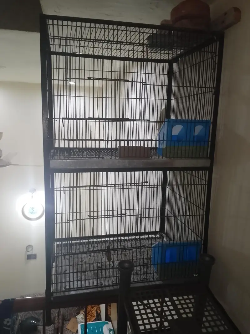 Cage for sale 2 Cage double 8000 and single 5500 — photo 5