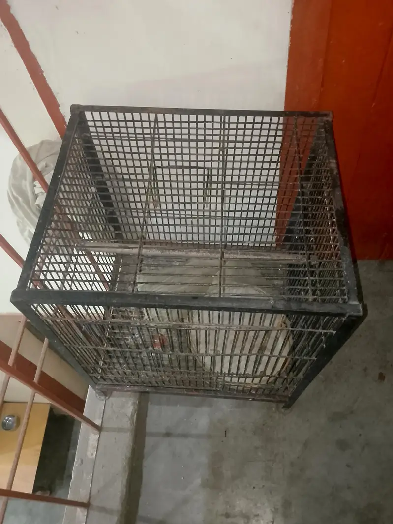 Cage for sale 2 Cage double 8000 and single 5500 — photo 6