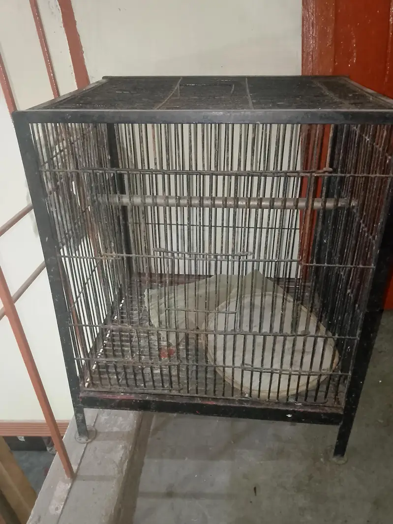 Cage for sale 2 Cage double 8000 and single 5500 — photo 7