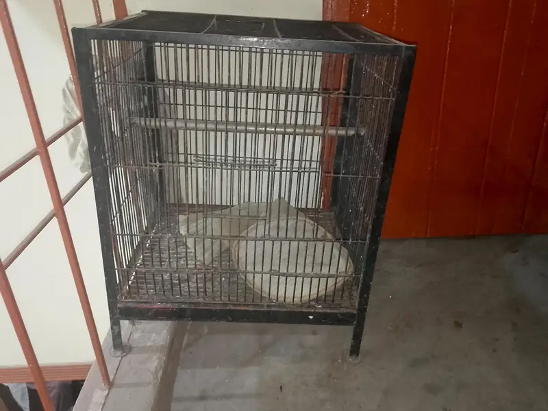 Cage for sale 2 Cage double 8000 and single 5500 — photo 8