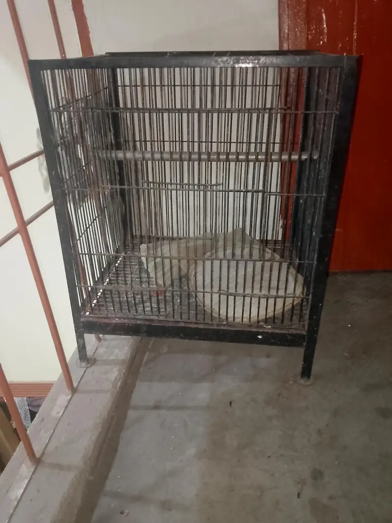 Cage for sale 2 Cage double 8000 and single 5500 — photo 9