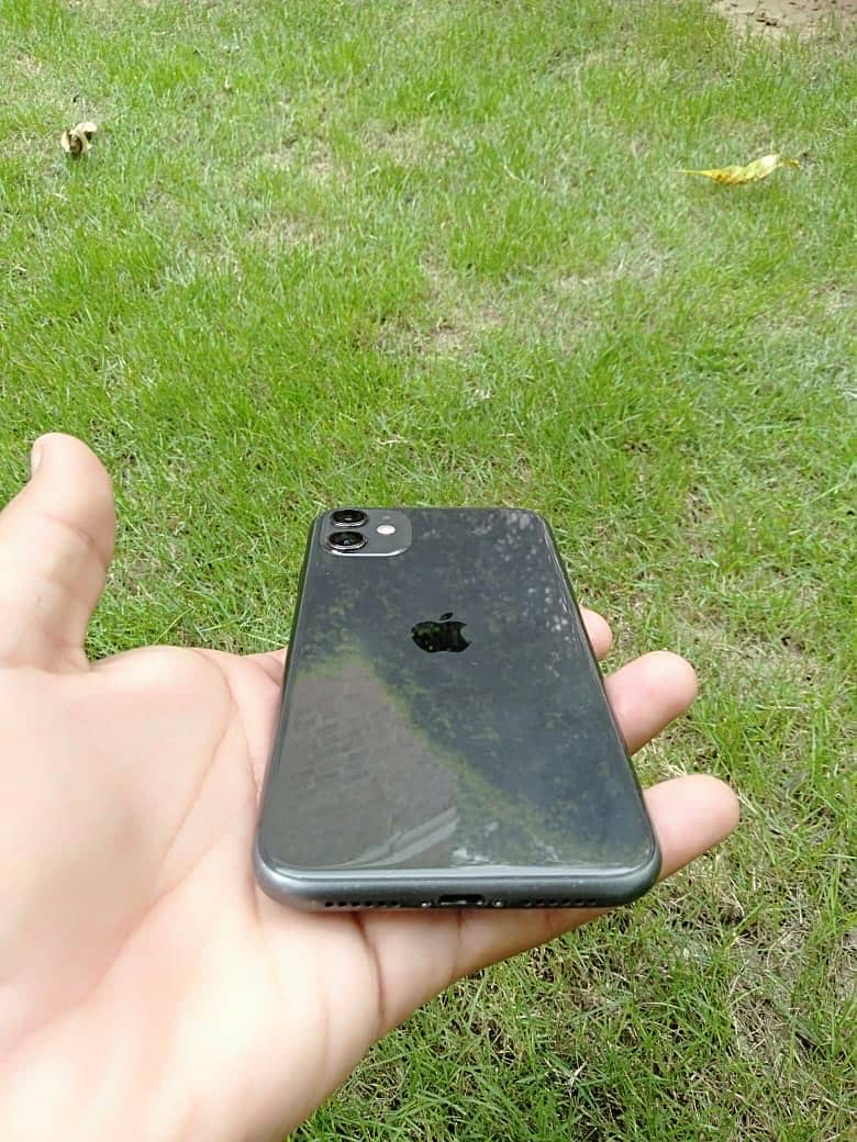 Apple iPhone 11 0