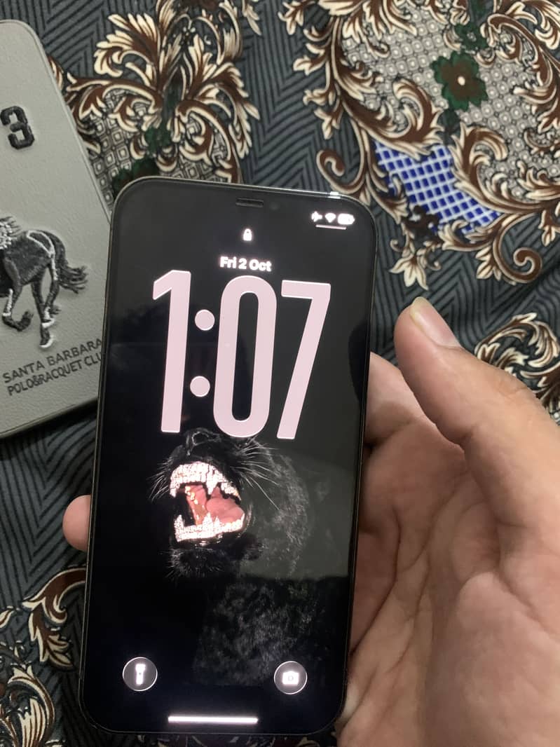 Apple iPhone 12 Pro Max 4