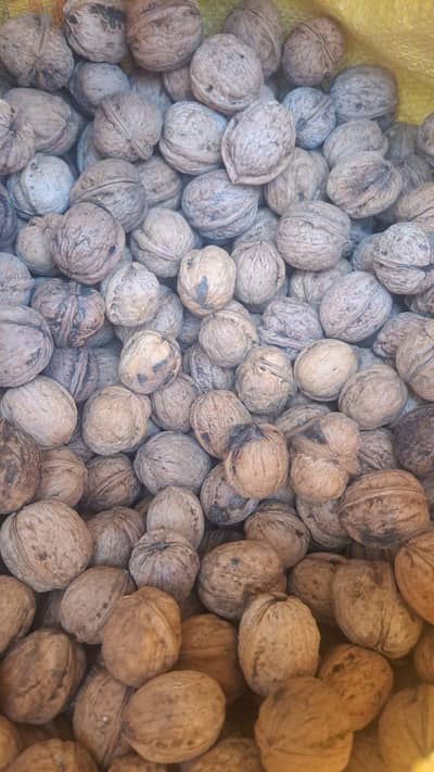 Akhrot for sale