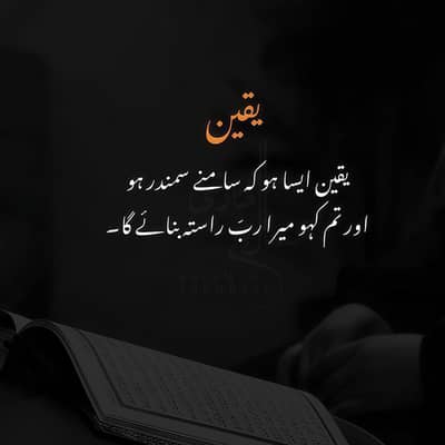 Account & Finance