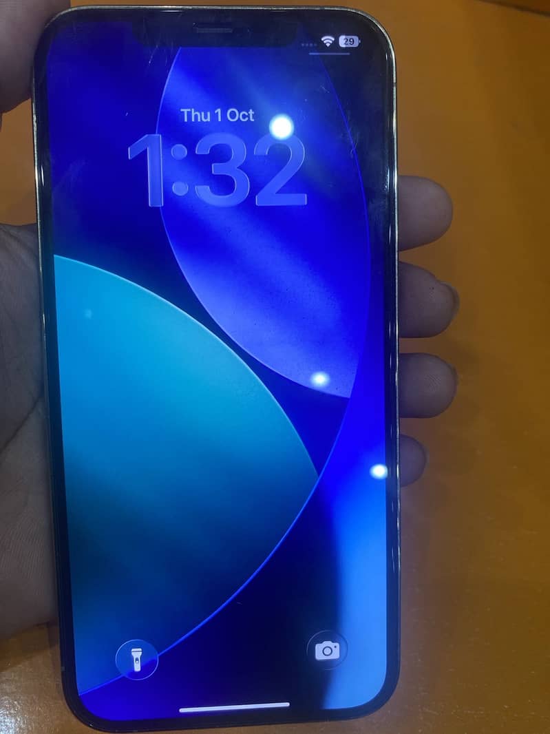 Apple iPhone 12 Pro Max 1