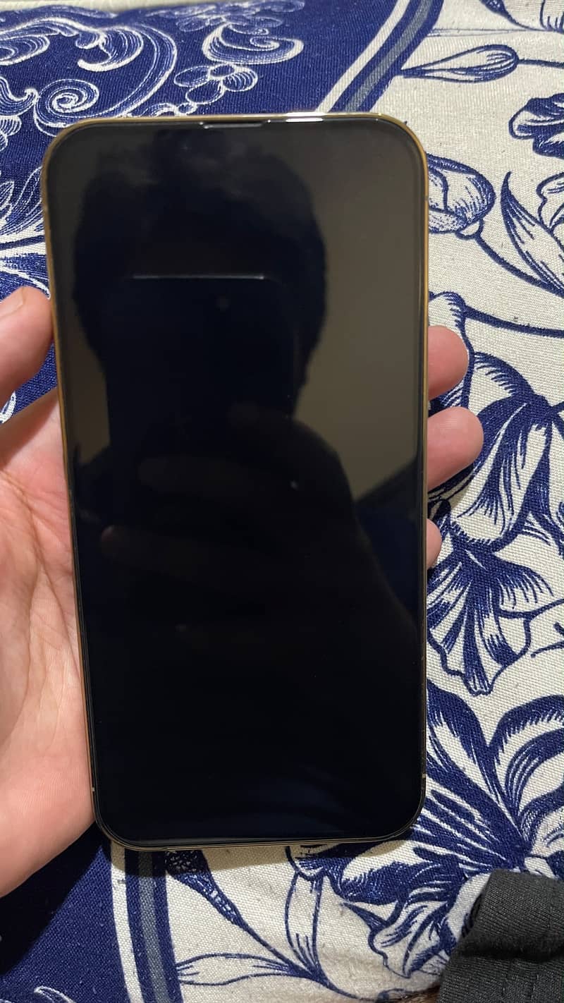 Apple iPhone 13 Pro Max 1